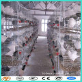 Full Equipment Layer Quail Cage/chicken cage /pigeon cage